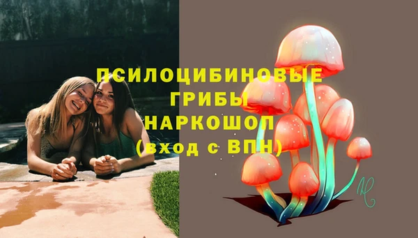 гашик Гусиноозёрск